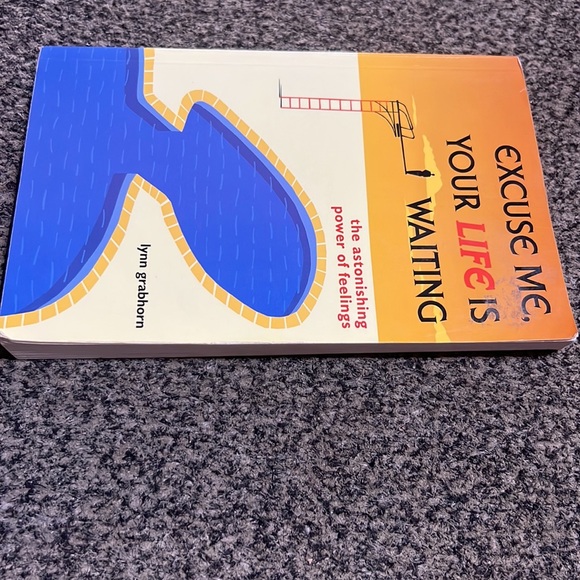 Excuse Me, Your Life is Waiting: The Astonishing Power of Feelings Lynn Grabhorn - Picture 13 of 16